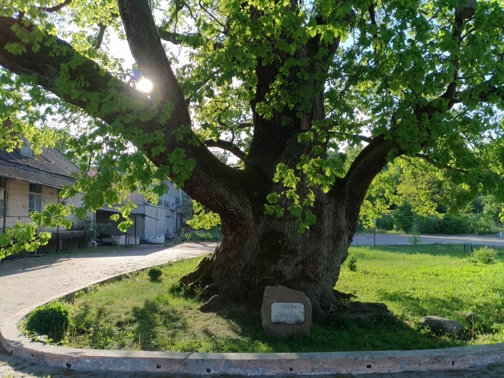 Ладушкин